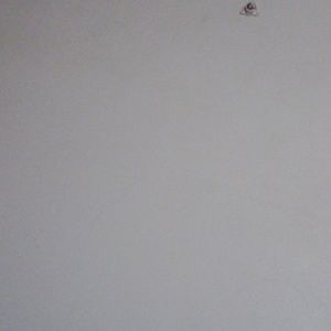 Meet your Posher, Prashanti